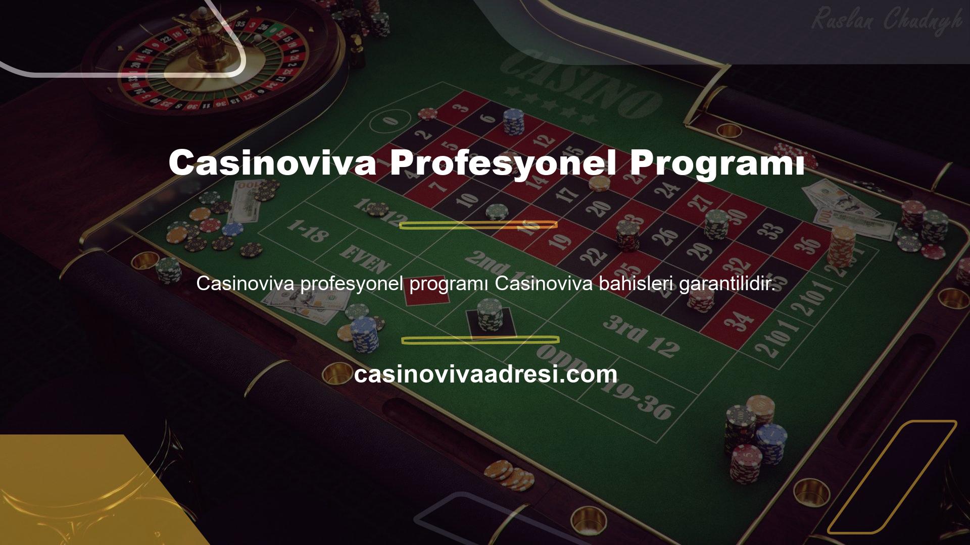 Casinoviva profesyonel programı